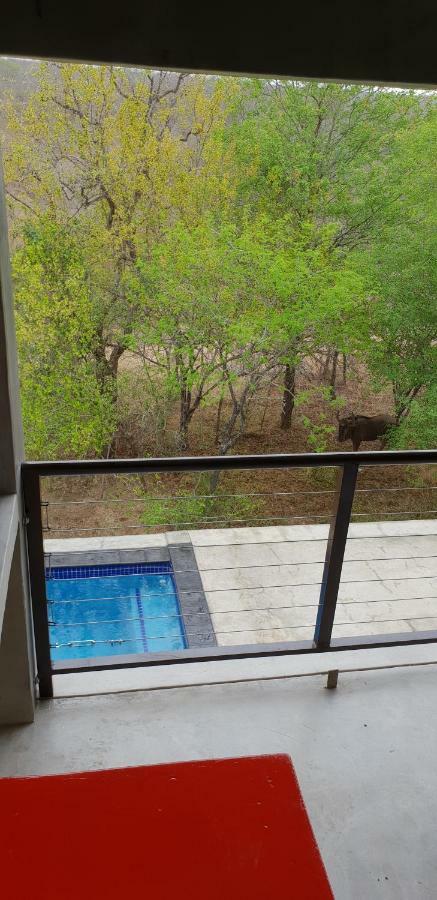 Lionsview Private Lodge - 6 Lions マールロス・パーク エクステリア 写真