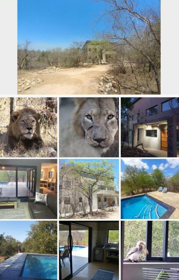 Lionsview Private Lodge - 6 Lions マールロス・パーク エクステリア 写真