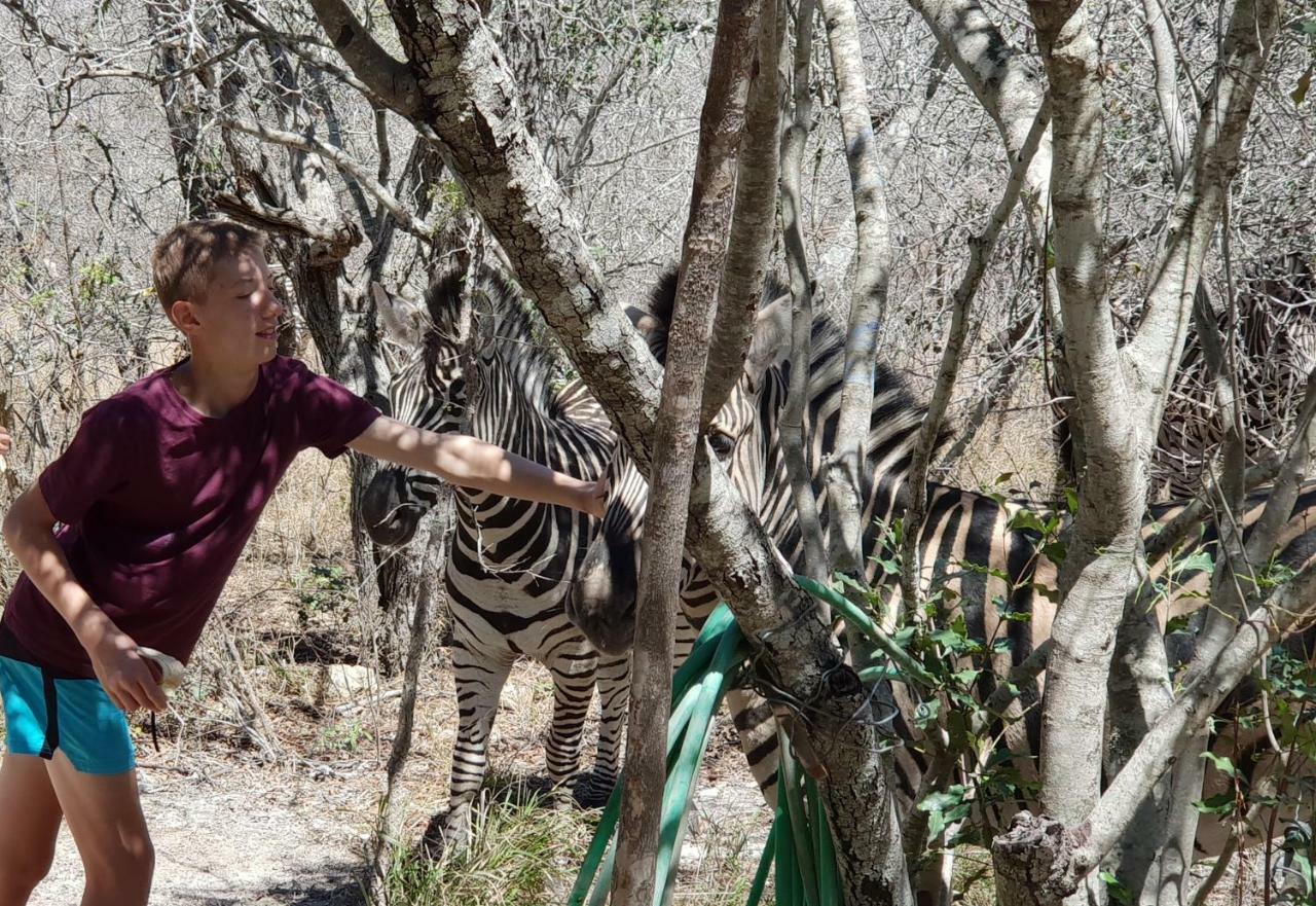 Lionsview Private Lodge - 6 Lions マールロス・パーク エクステリア 写真