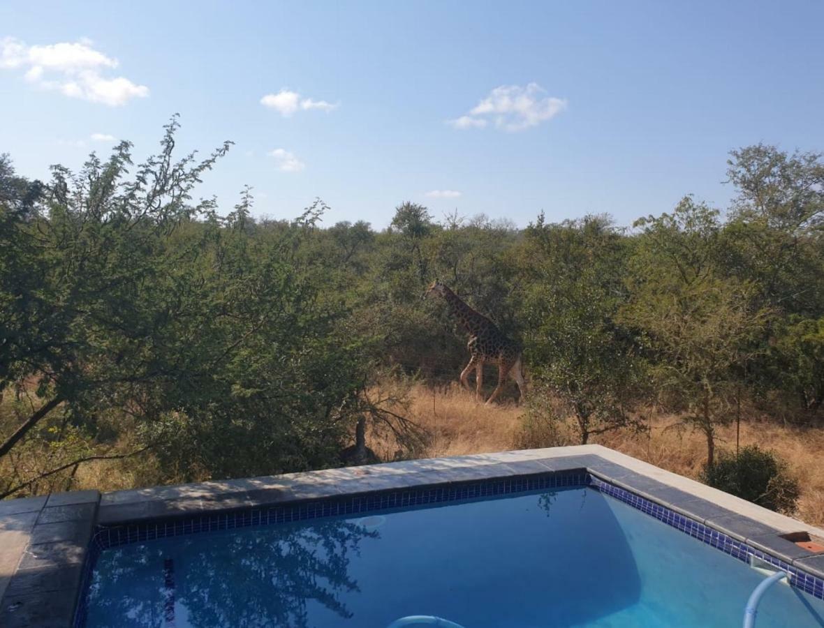 Lionsview Private Lodge - 6 Lions マールロス・パーク エクステリア 写真